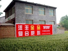 合山如何让墙体广告展现最大化效果