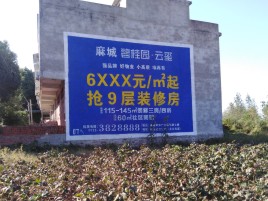 合山品牌公司青睐的墙体广告
