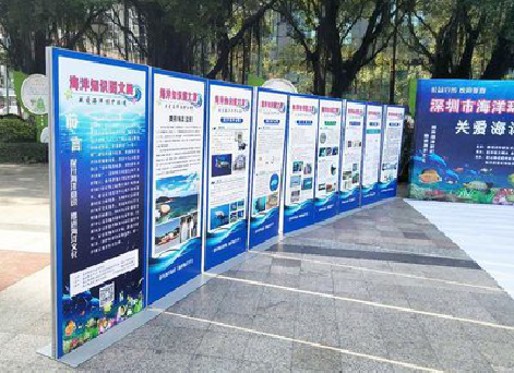 合山KT板的种类和知识。